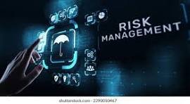 Insurance, Risk Management image